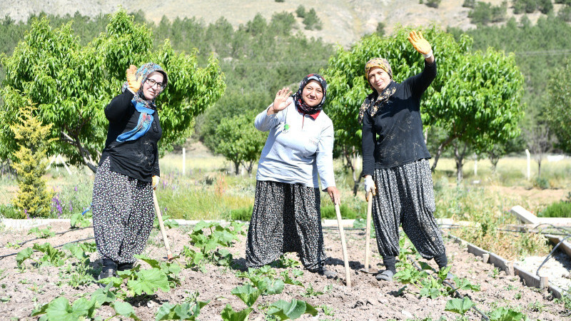 Tohumlar Mamak’ta Filizleniyor, İhtiyaç Sahiplerinin Sofrasına Uzanıyor